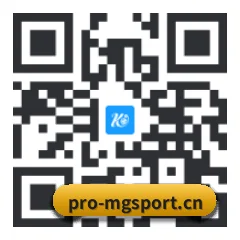 苹果版 iOS 二维码